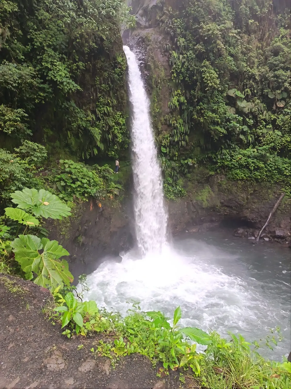 La Fortuna / Arenal, Costa Rica
